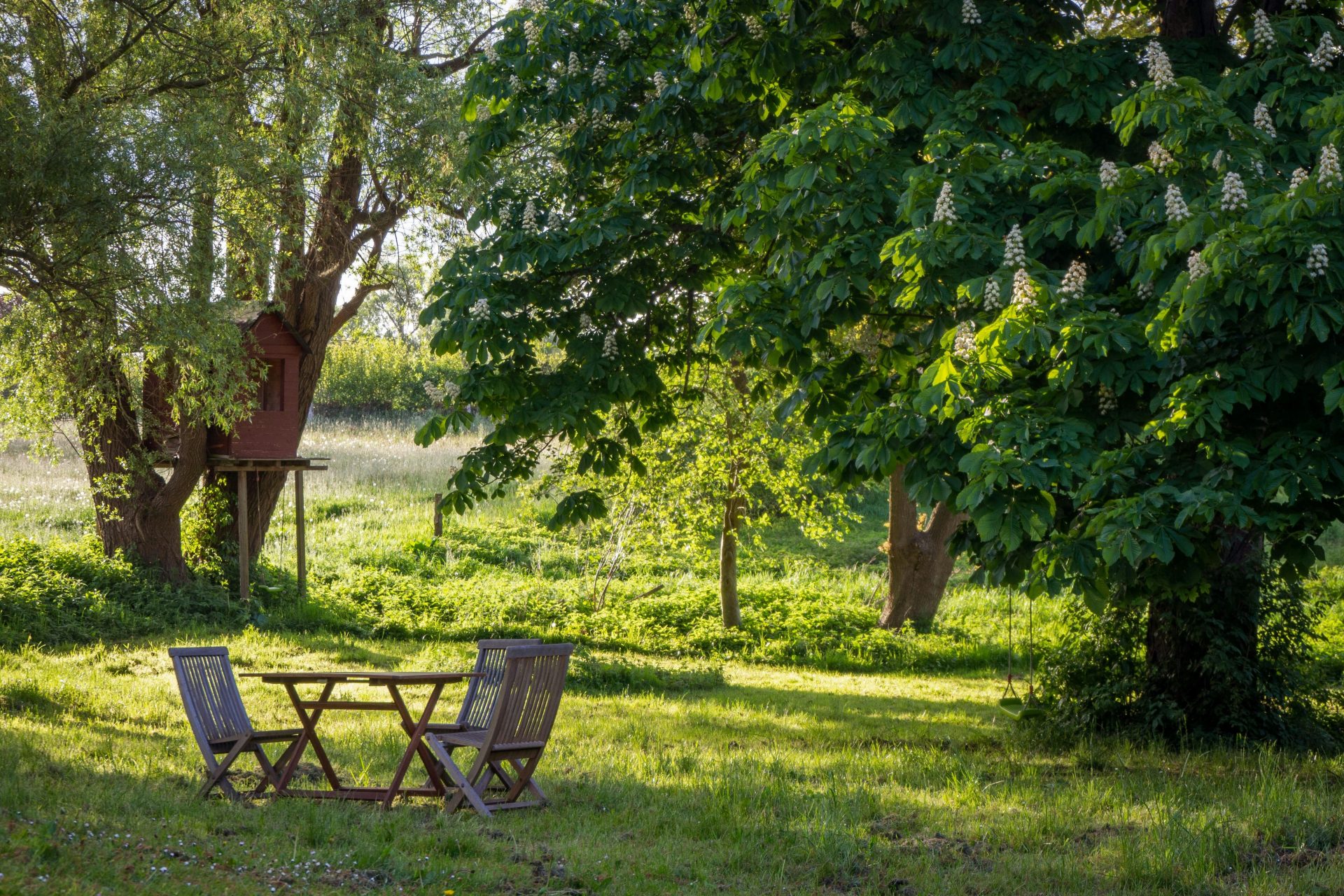 braune Holzbank unter grünem Baum am Tag