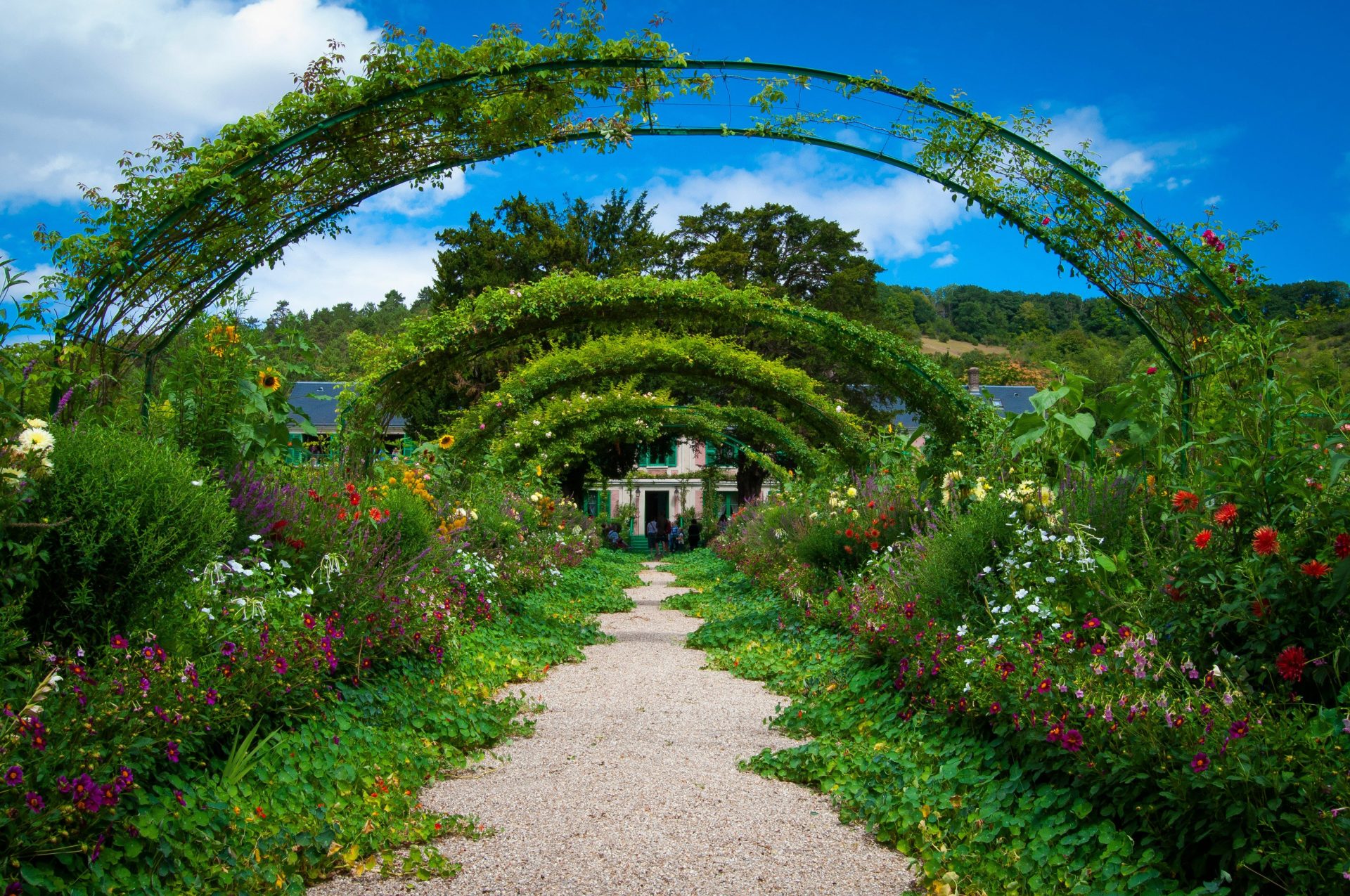 grüne Wiese mit Bäumen und Blumen